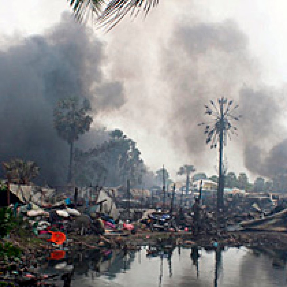 erleben sie, wie die spinner sri lankas das spiel dominieren und zum sieg führen. detaillierte analyse und highlights der entscheidenden bowling-leistungen.