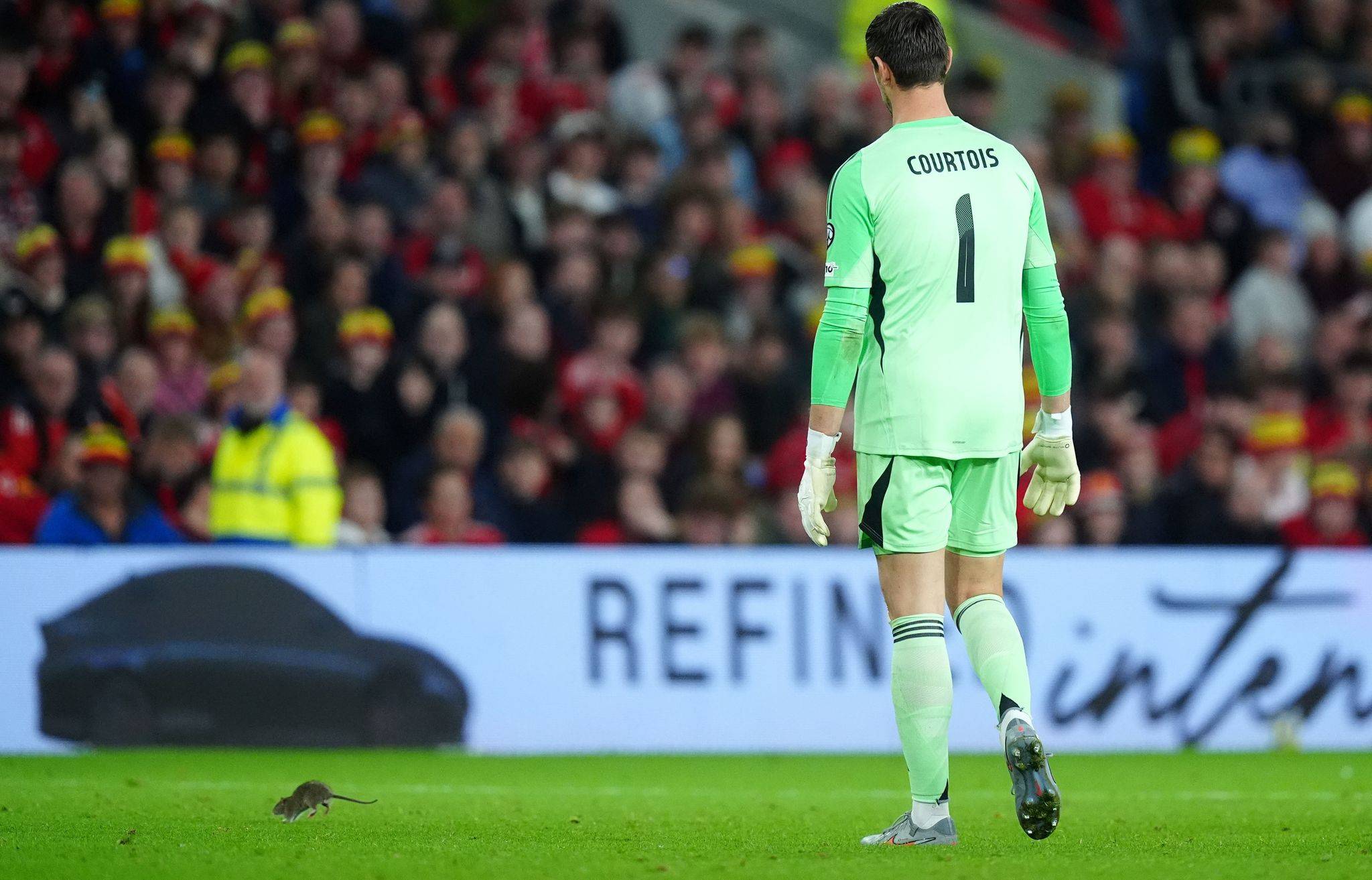 verfolgen sie die tage bis zur wm: die usmnt jagt den erfolg und bereitet sich intensiv auf das turnier vor.